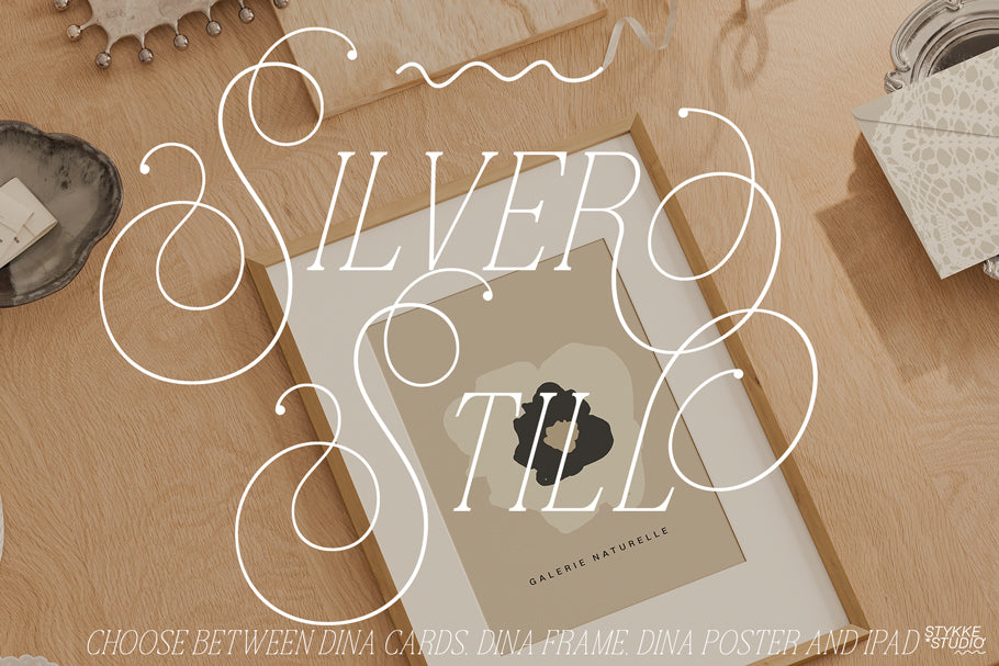 SILVER STILL NO. 101 | Frame, Poster & iPad Mockup Set